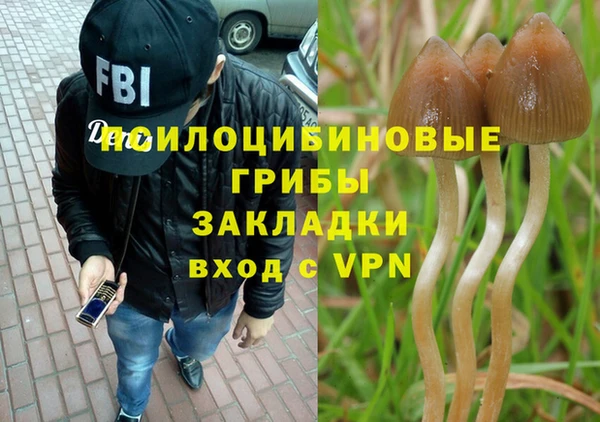 ешки Аркадак