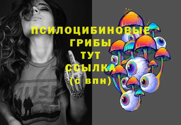 ешки Аркадак