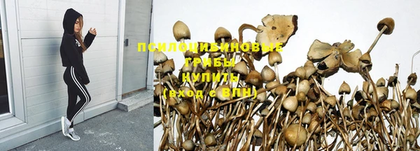 мяу мяу мука Армянск