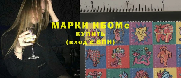 ешки Аркадак