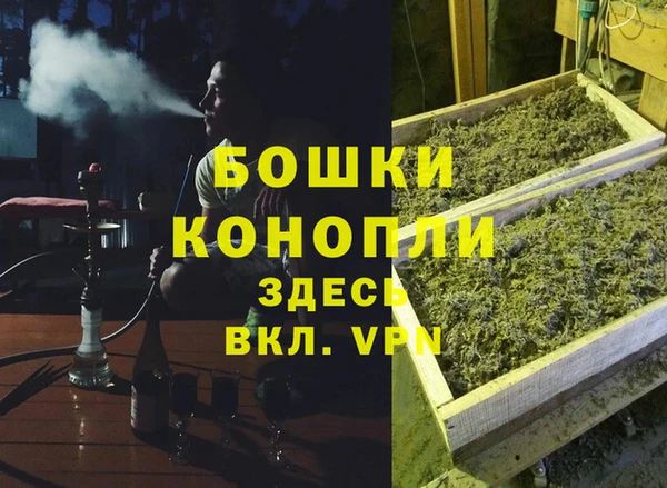ешки Аркадак