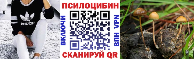 Галлюциногенные грибы Psilocybe  даркнет какой сайт  OMG ССЫЛКА  Усть-Илимск  купить  